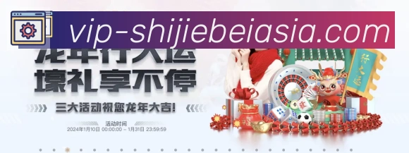 未来规划